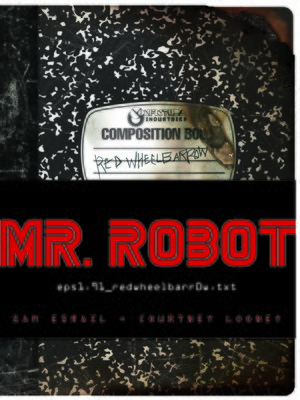 cover image of MR. ROBOT